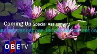 OBE Ident Up Next