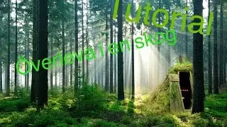 tutorial överleva i en skog