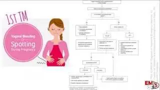 Pregnant Vaginal Bleeding  1st TM
