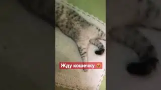 После обеда 😋