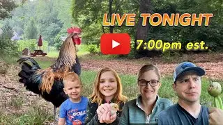 Live Homestead Hangout