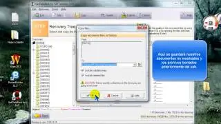 Carpeta Found.000 (archivos .chk) en usb. Recuperar archivos con GetDataBack