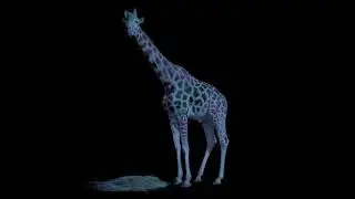 Giraffe Aftermath - Dark and Stormy