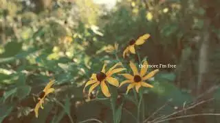 what it takes (music video)