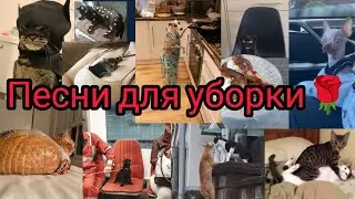 Speed up || песни для уборки ||🎧