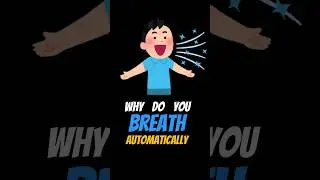 Why do you BREATH automatically? Medulla Explained #shorts