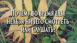 🌈Почему во время еды нельзя ничего смотреть или слушать?