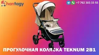 Детская прогулочная коляска Teknum 2в1, коляски зима-лето c доставкой по Алматы. Детские коляски.