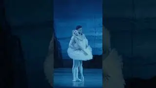 Одетта - Валерия Исаева