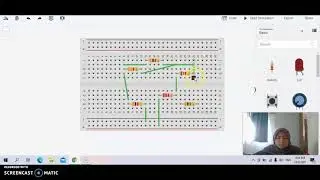 EECE 1101 -EXPERIMENT 2 (KIRCHHOFF'S VOLTAGE AND CURRENT LAWS)  - 2010206-