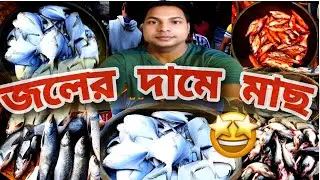 জলের দামে মাছ😱 | Barasat Chapadali Fish Market🐟| বারাসাত মাছের বাজার।।