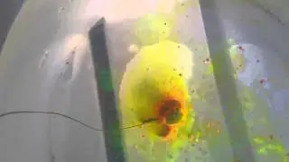 video 1450785373 mp4