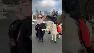 My little pony😍 Ella and her best friend on trail ride together❤️ 