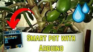 How To Make Easiest SMART POT🪴