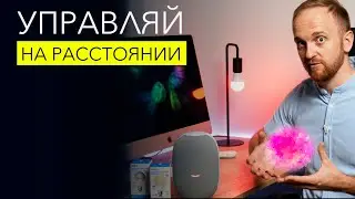 Как управлять предметами силой голоса? Капсула Mail.ru Group в связке с лампочками TP-Link Tapo