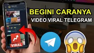 How to see the latest viral videos on Telegram