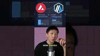 Is SUI crypto a fast blockchain?