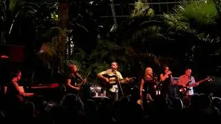 Viva La Vida John O Connell Band
