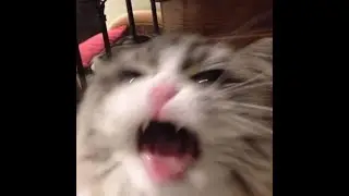 Hellblade 2, продолжаем
