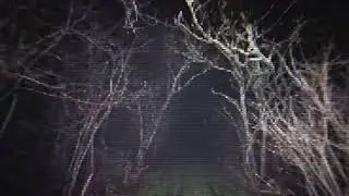 Dilophosaurus Tapes (Jurassic Park VHS Analog Horror) Jurassic Park Security