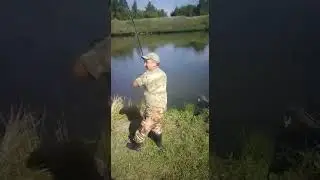Приглашаем Вас! пруд 