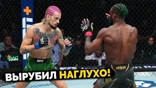 ВЫРУБИЛ с 1-го УДАРА! БОЙ Алджамейн Стерлинг - Шон О'Мэлли! ЖЕСТКИЙ НОКАУТ на UFC 292!