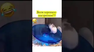 Всем доброго утра и хорошего настроения! #доброеутро