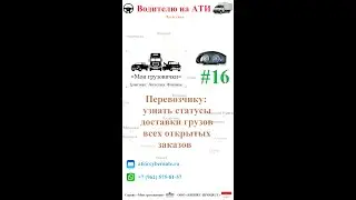 📲 Перевозчику: узнать статусы доставки грузов всех открытых заказов 🚚📦️♨️