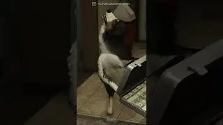 EL LADRÓN DEL GYM DE GTA 5 #shorts