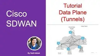 [Tutorial - SDWAN] SDWAN Dataplane