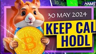 Hamster Kombat - 11 пасхалка найдена! Загадка Hamster Kombat. Листинг