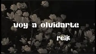 voy a olvidarte - reik