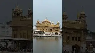 golden temple amritsar #shorts #goldentemple #amritsar #punjab  #temple