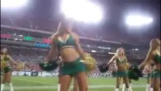 2014 -2015 USF Sundolls 
