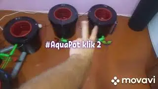 Гидропонные системы CALVERIA AquaPot Klik