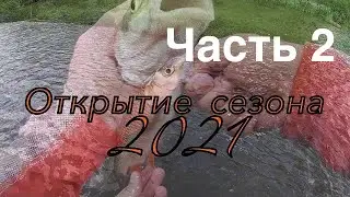 Ловля на Микроджиг | Голавль на силикон | Рыбалка 2021