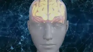 4 niyam aur dimag itna tej computer bhiwe fail ho jaega fantastic motivational video