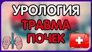 Урология.  Лекция 11. Травма органов мочеполовой системы. Травма почек.