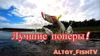 3 лучших поппера!