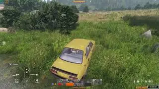 DayZ