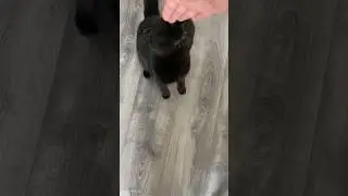 Завтрак для всех праздник 🥳
