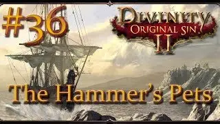 Divinity: Original Sin II - Ep 36 - The Hammer's Pets