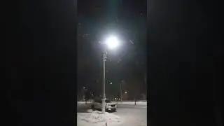 Угледар зимний