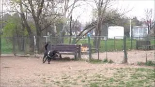 Slow motion Sony A6300