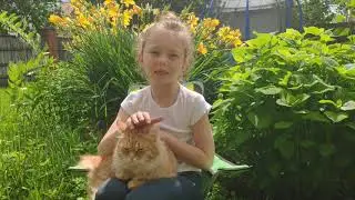 Приветствие🙋🐈