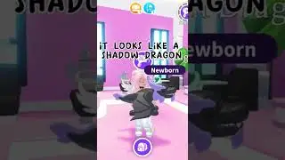 Things you must do in the new adopt me update! 👀 