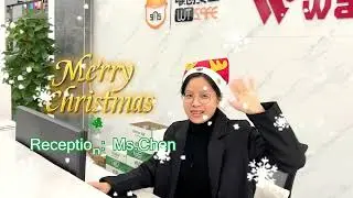 Waytronic wishes everyone Merry Christmas and Happy New Year