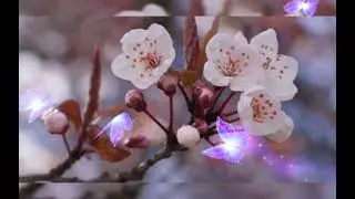 Мама рядом (песня для мамы)