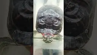 а шо это вы здесь делаете?