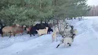 всех с наступающим новым годом друзья 🎉